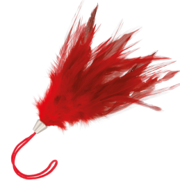 Plume Rouge de 17 cm