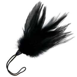 Plume Noire de 17 cm