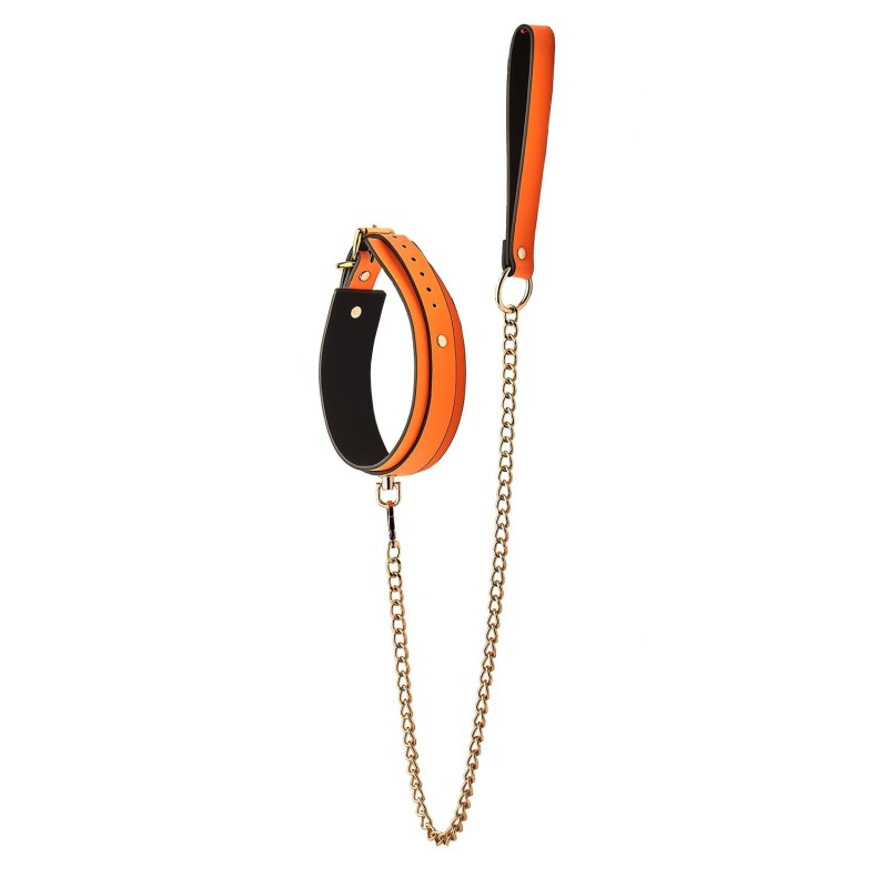 Collier et Laisse Phosphorescent Orange