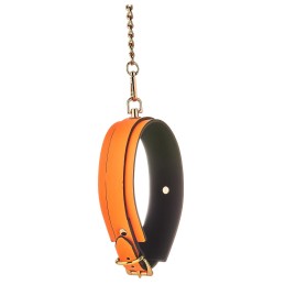 Collier et Laisse Phosphorescent Orange