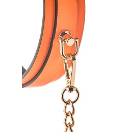 Collier et Laisse Phosphorescent Orange