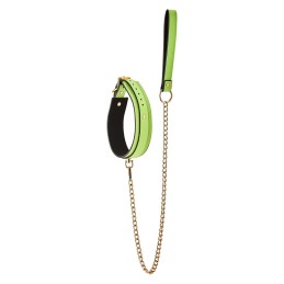 Collier et Laisse Phosphorescent Vert