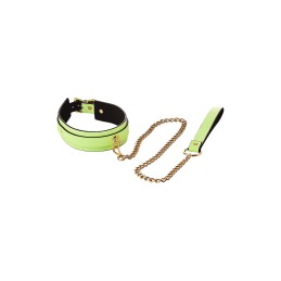 Collier et Laisse Phosphorescent Vert