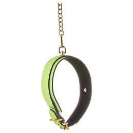 Collier et Laisse Phosphorescent Vert